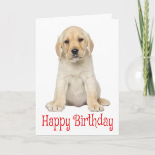 Happy Birthda Yellow Labrador Retriever Puppy Dog Kaart