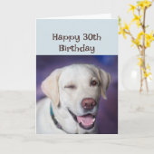 Happy Birthday, 30e wederom Winking Dog Humor Kaart (Gele Bloem)
