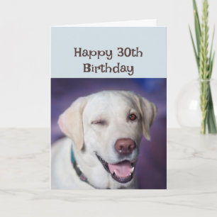 Happy Birthday, 30e wederom Winking Dog Humor Kaart