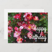 Happy Birthday 4 juli Roos #1 Ansichtkaart Briefkaart (Voorkant / Achterkant)