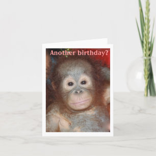 Happy Birthday Aap in de buurt Kaart
