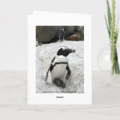 Happy Birthday African Penguins Card Kaart (Achterkant)