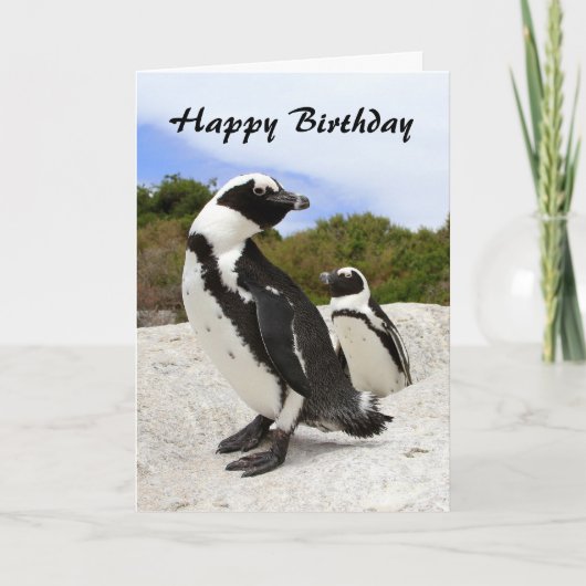 Happy Birthday African Penguins Humor Card Kaart (Voorkant)