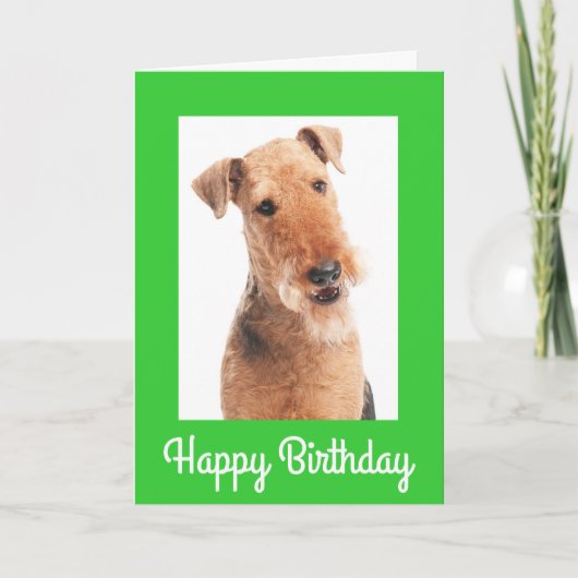 Happy Birthday Airedale Terrier Dog Wenskaart Kaart (Voorkant)