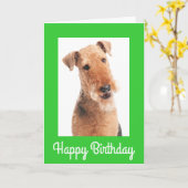 Happy Birthday Airedale Terrier Dog Wenskaart Kaart (Gele Bloem)