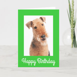 Happy Birthday Airedale Terrier Dog Wenskaart Kaart