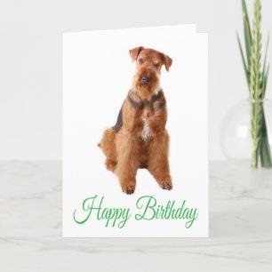 Happy Birthday Airedale Terrier Dog Wenskaart Kaart