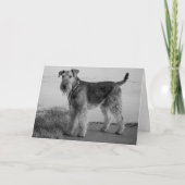 Happy Birthday Airedale Terrier Puppy Dog Card Kaart (Voorkant)