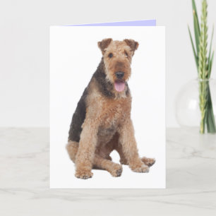 Happy Birthday Airedale Terrier Puppy Dog Card Kaart