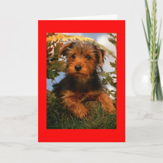 Happy Birthday Airedale Terrier Puppy Dog Card Kaart (Voorkant)