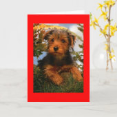 Happy Birthday Airedale Terrier Puppy Dog Card Kaart (Gele Bloem)