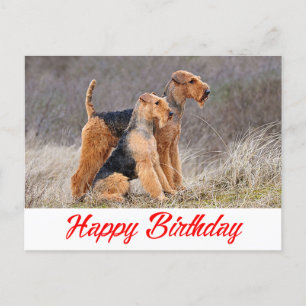 Happy Birthday Airedale Terrier Puppy Dog Red Briefkaart