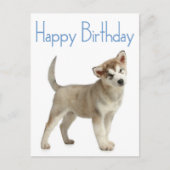 Happy Birthday Alaskan Malamute Puppy Dog Briefkaa Briefkaart (Voorkant)
