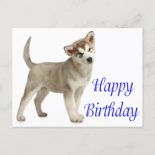 Happy Birthday Alaskan Malamute Puppy Dog Card Briefkaart