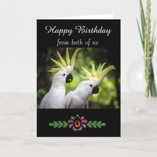 Happy Birthday - Algemeen - Painted Cockatoos Kaart