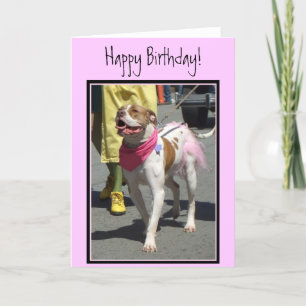 Happy Birthday American Bulldog wenskaart Kaart