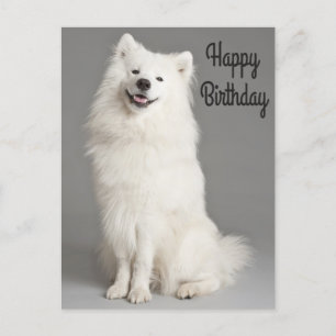 Happy Birthday American Eskimo Puppy Dog Briefkaar Briefkaart