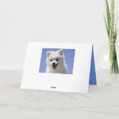 Happy Birthday American Eskimo Puppy Dog Card Kaart (Achterkant)