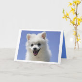 Happy Birthday American Eskimo Puppy Dog Card Kaart (Gele Bloem)