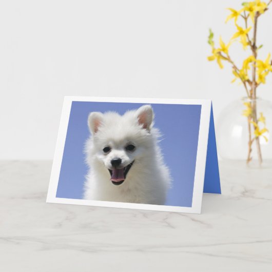 Happy Birthday American Eskimo Puppy Dog Card Kaart (Gele Bloem)