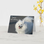 Happy Birthday American Eskimo wenskaart Kaart (Gele Bloem)