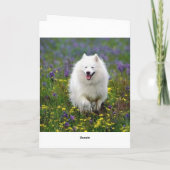 Happy Birthday American Eskimo Wenskaart Kaart (Achterkant)