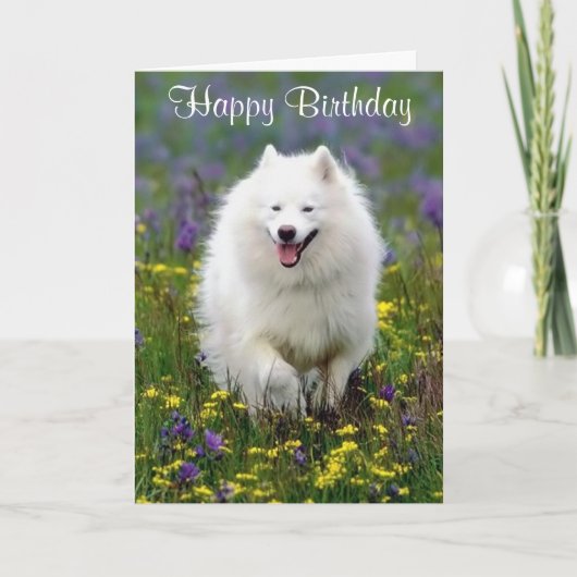Happy Birthday American Eskimo Wenskaart Kaart (Voorkant)