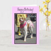 Happy Birthday Amerikaanse Bulldog wenskaart Kaart (Gele Bloem)
