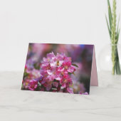 Happy Birthday Apple Blossom, Honey Bee Kaart (Achterkant)