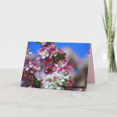 Happy Birthday Apple Blossom, Honey Bee Kaart (Achterkant)