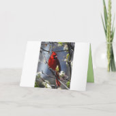 Happy Birthday Aunt Female Cardinal Kaart (Achterkant)