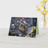 Happy Birthday Aunt Female Cardinal Kaart (Gele Bloem)