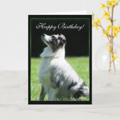 Happy Birthday Australian Shepherd greeting card Kaart (Gele Bloem)