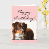 Happy Birthday Australian Shepherd greeting card Kaart (Gele Bloem)