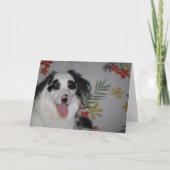 Happy Birthday!  Australian Shepherd Kaart (Voorkant)