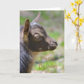 Happy Birthday Baby Goat Kaart (Gele Bloem)