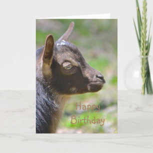 Happy Birthday Baby Goat Kaart