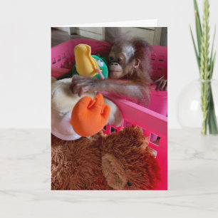Happy Birthday Baby Orangutan Grabs Speys Kaart