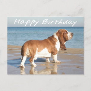 Happy Birthday Basset Hound Puppy Dog Post Kaart