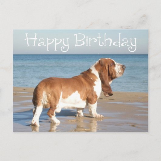 Happy Birthday Basset Hound Puppy Dog Post Kaart (Voorkant)
