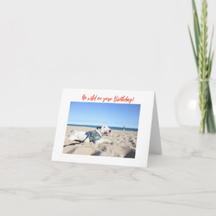 Happy Birthday! Beach Bull Terrier Hawaii Kaart
