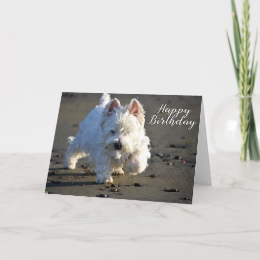 Happy Birthday Beachcombing Westie-fotokaart Bedankkaart (Voorkant)