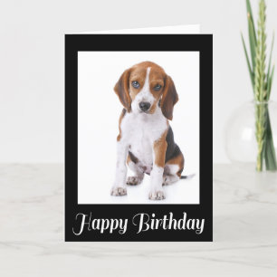 Happy Birthday Beagle Puppy Dog Wenskaart Kaart
