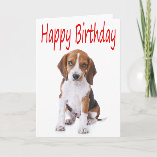 Happy Birthday Beagle Puppy Dog Wenskaart Kaart (Voorkant)