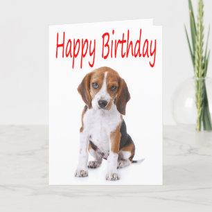 Happy Birthday Beagle Puppy Dog Wenskaart Kaart