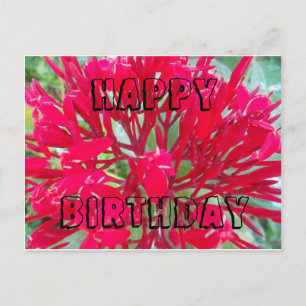 Happy Birthday Beauful Red flower Briefkaart