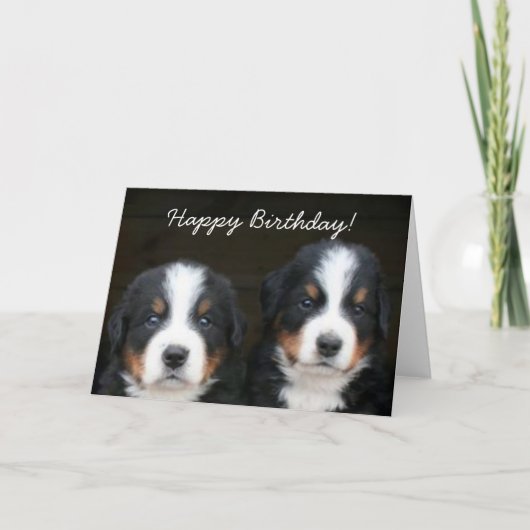 Happy Birthday Berner pups wenskaart Kaart (Voorkant)