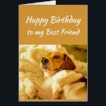 Happy Birthday Best Friend Funny Animals<br><div class="desc">Fijne verjaardag beste vriendjesdieren uit de schimmelwereld. Vriendschap Fun en lachen Birthdays sluipen je op.</div>