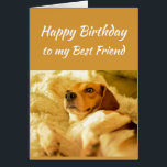 Happy Birthday Best Friend Funny Animals<br><div class="desc">Fijne verjaardag beste vriendjesdieren uit de schimmelwereld. Vriendschap Fun en lachen Birthdays sluipen je op.</div>