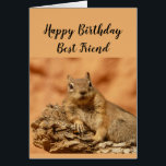 Happy Birthday Best Friend Funny Squirrel Relax<br><div class="desc">Een grappige kaart voor je hardwerkende beste vriend die hen eraan herinnert te ontspannen met een schattig ontspannend,  knappe eekhoorn schattig dier. Inside Verse: En je weet dat je op je verjaardag gewoon moet koelen en ontspannen,  toch?</div>